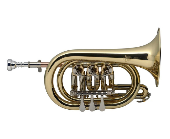 Корнет Stagg 77-TCR - 23242 за 0 грн. | 4Club